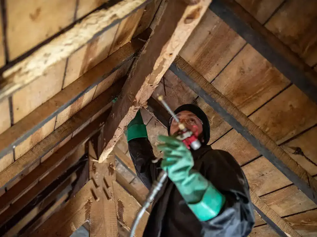 Traitement de charpente pays de Comminges